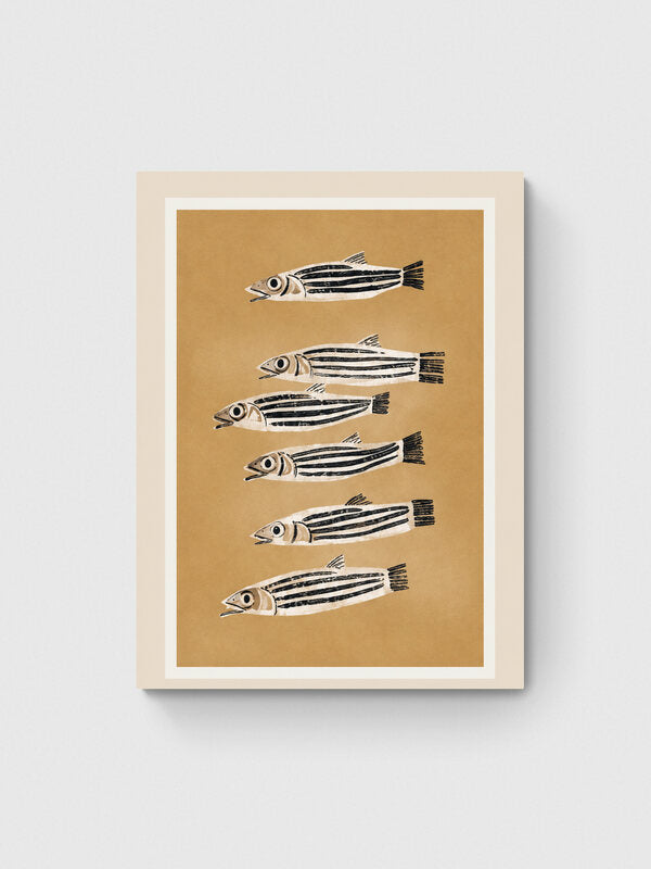 Striped Shoal